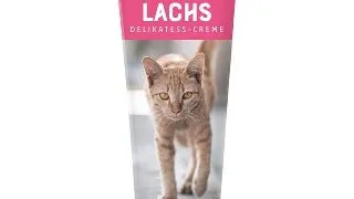 Hrana umeda pentru pisici Perfecto Cat, Crema Delicatess Somon, 75g