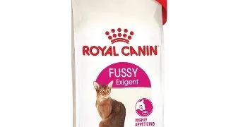 Royal Canin Fussy Exigent hrana uscata pentru pisici, 4 Kg
