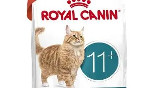 Royal Canin Ageing 11+ hrana uscata pentru pisici, 400g