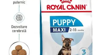Royal Canin Maxi Puppy hrana uscata caine junior, 10 kg