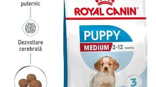 Royal Canin Medium Puppy hrana uscata caine junior, 10 kg