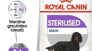 Royal Canin Maxi Sterilised Adult hrana uscata caine sterilizat, 12 kg