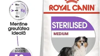 Royal Canin Medium Sterilised Adult hrana uscata caine sterilizat, 12 kg