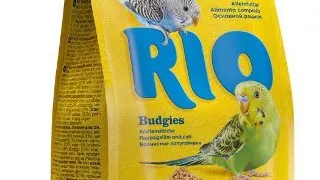 Hrana pentru perusi Rio, 500g