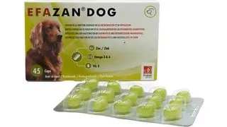 Supliment nutritiv Efazan Dog, Sustine functia pielii, 45 tablete