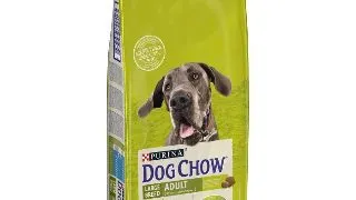 Hrana uscata pentru caini Purina Dog Chow Adult, Curcan, 14kg