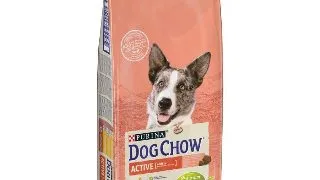 Hrana uscata pentru caini Purina Dog Chow Active, Adult, Pui, 14kg