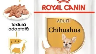 Royal Canin Chihuahua Adult hrana umeda caine (pate), 12 x 85 g