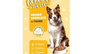 Hrana umeda pentru caini, Norman, Pui, 1240g