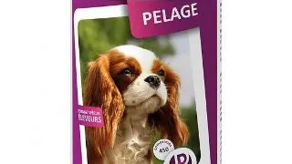 Supliment de vitamine si minerale pentru caini Pet Phos Pelage, Piele sanatoasa si blana stralucitoare, 450 Tablete