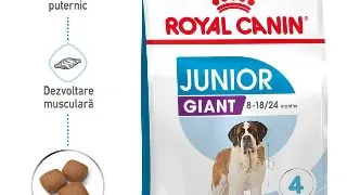 Royal Canin Giant Junior hrana uscata caine junior etapa 2 de crestere, 15 kg