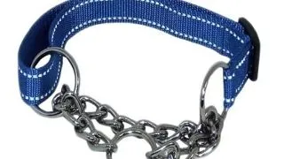 Zgarda caini chinga strangulanta 33-50 cm