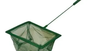 Minciog pentru acvariu 10 cm