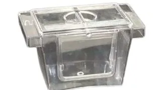 Maternitate pentru pesti acvariu simplu