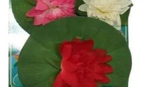 Plante artificiale pentru acvariu nufar