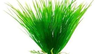 Plante artificiale pentru acvariu