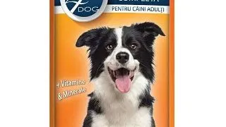 Hrana Umeda Caini 4DOG Pui 1250g