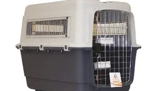 Cusca transport animale Croci Vagabond, L, IATA, Max 23Kg