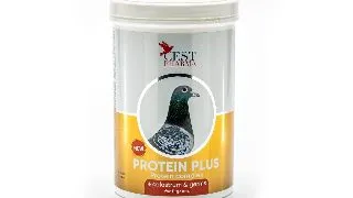 Supliment pentru porumbei, Protein Plus, Cest Pharma, 600g 600g