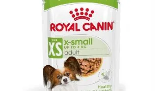 Royal Canin X-Small Adult hrana umeda pentru caini (in sos) 12 x 85g