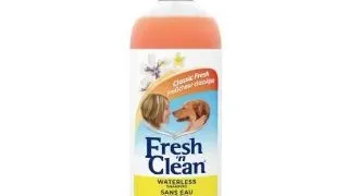 Fresh'n Clean Sampon Spray Waterless 355 ml