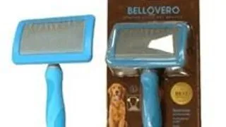 Bellovero Dog Perie L