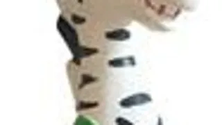 Paiatze Dog Funny Zebra Latex 0359B/ 2534