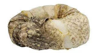 Recompensa pentru caini Croci, Cod, 50g