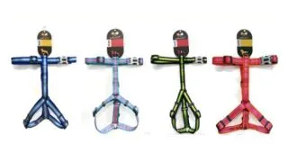 Walkit Ham Caine M 1.9 cm x 51-76 cm - walkit,albastru