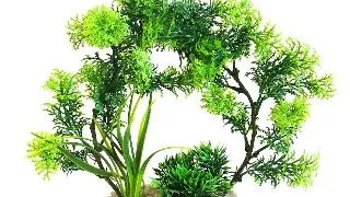 Sydeco Planta Arch Plants 21 cm 380447
