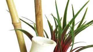 Sydeco Planta Japanese Garden 22 cm 380485
