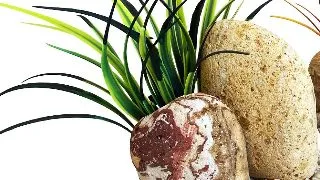 Sydeco Decor Rainbow Stone Plants 14 cm 380505