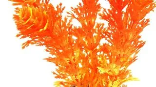 Sydeco Planta Aqua Mini Flower 10 cm 385001