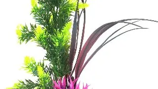 Sydeco Planta Aqua Forest 24 cm 385010