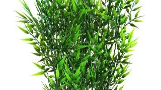 Sydeco Planta Hedge Maxi 38 cm 380060