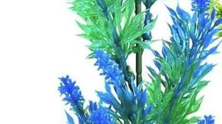 Sydeco Planta Large Bush 20 cm 380006
