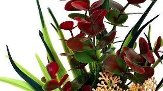 Sydeco Planta Eucalyptus Bouquet 22 cm 350202