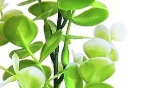 Sydeco Planta Water Eucalyptus 22 cm 350118