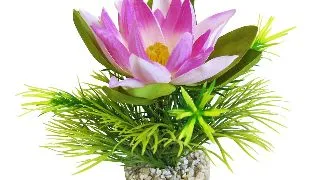 Sydeco Planta Lotus Flower 18 cm 349722