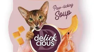 Delickcious Pisica Plic Supa Sardine Cu Creveti Si Dovleac 80 g