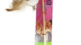 Paiatze Cat Undita Minge W5709