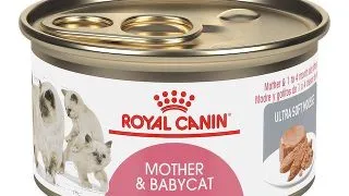 Royal Canin Pate Baby Cat Instinctive 195 g