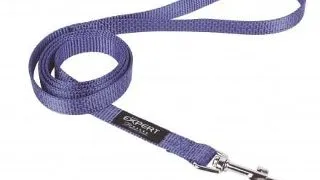Lesa pentru caini Pet Expert, 1.5 x 120 cm, reflectorizant, albastru