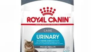 Royal Canin Felin Urinary Care - 400-g,royal-canin