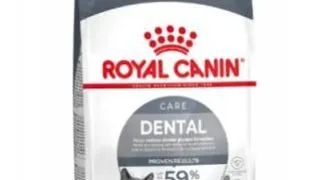 Royal Canin Felin Dental Care 8 kg