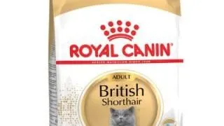 Royal Canin Felin British Shorthair - royal-canin,2-kg