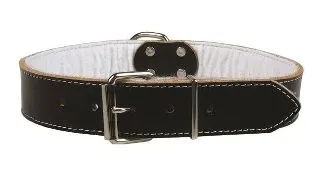 Zgarda pentru caini Pet Expert, marime XL, 3 x 70 cm, piele, negru