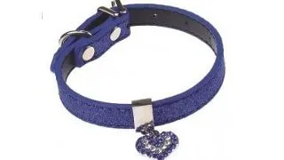 Zgarda pentru caini Pet Expert Glossy Heart, marime S, 1.5 x 27.5 - 35 cm, piele, albastru
