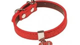 Zgarda pentru caini Pet Expert Glossy Heart, marime S, 1.5 x 27.5 - 35 cm, piele, rosu