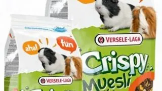 Versele Laga Muesli- Guinea Pigs - 400-g